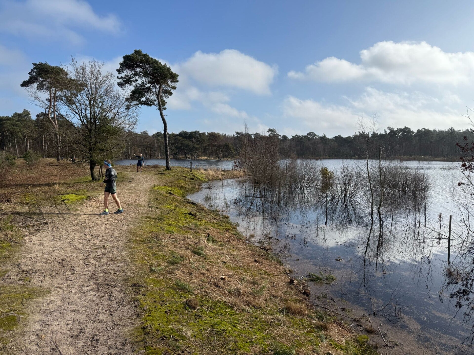 social trail: kampina en de kleine aa | www.trailrunnersbrabant.nl