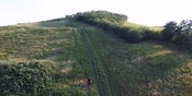 D-plus Dinsdag Gulbergen | Trailrunning rond Eindhoven: de Kempen, de Peel en de Meijerij (Noord-Brabant)