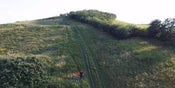 D-plus Dinsdag Gulbergen | Trailrunning rond Eindhoven: de Kempen, de Peel en de Meijerij (Noord-Brabant)