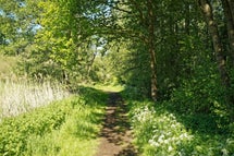 social trail: kampina en de kleine aa | www.trailrunnersbrabant.nl