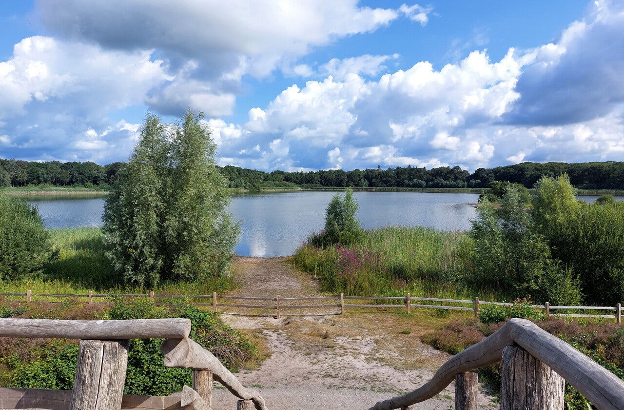 social trail: kampina en de kleine aa | www.trailrunnersbrabant.nl