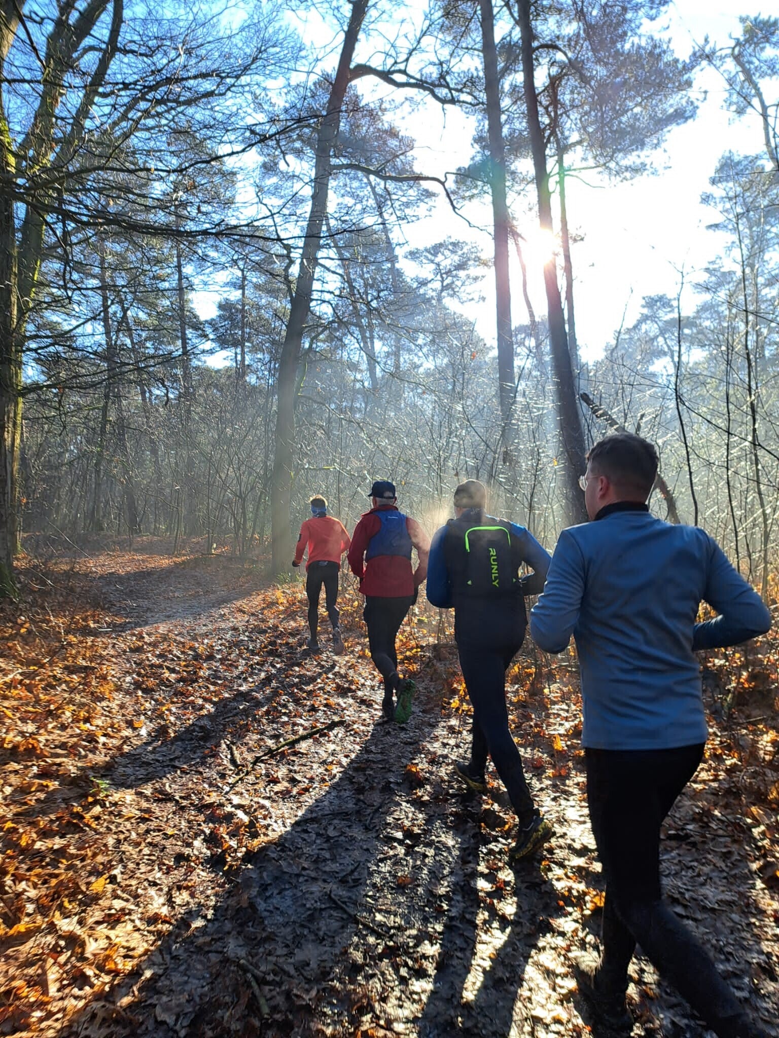social trail: kampina en de kleine aa | www.trailrunnersbrabant.nl
