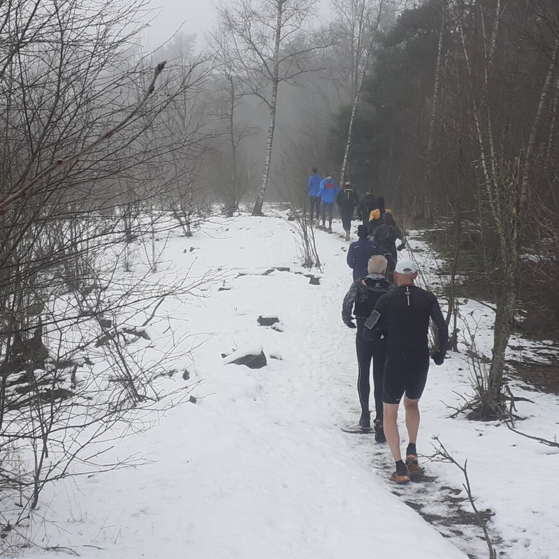Hugterheide en Weerterbos (17 km, januari 2025, foto: Ron)