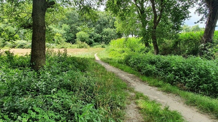 social trail: kampina en de kleine aa | www.trailrunnersbrabant.nl