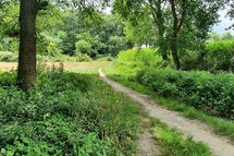 social trail: kampina en de kleine aa | www.trailrunnersbrabant.nl