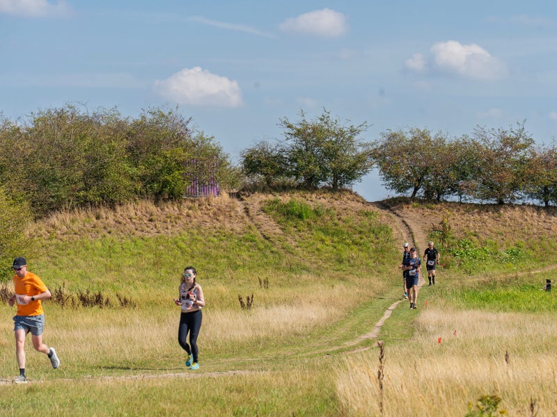 Hill Repeat Madness 2025 op landgoed Gulbergen / het Dak van Brabant | Trailrunners Brabant