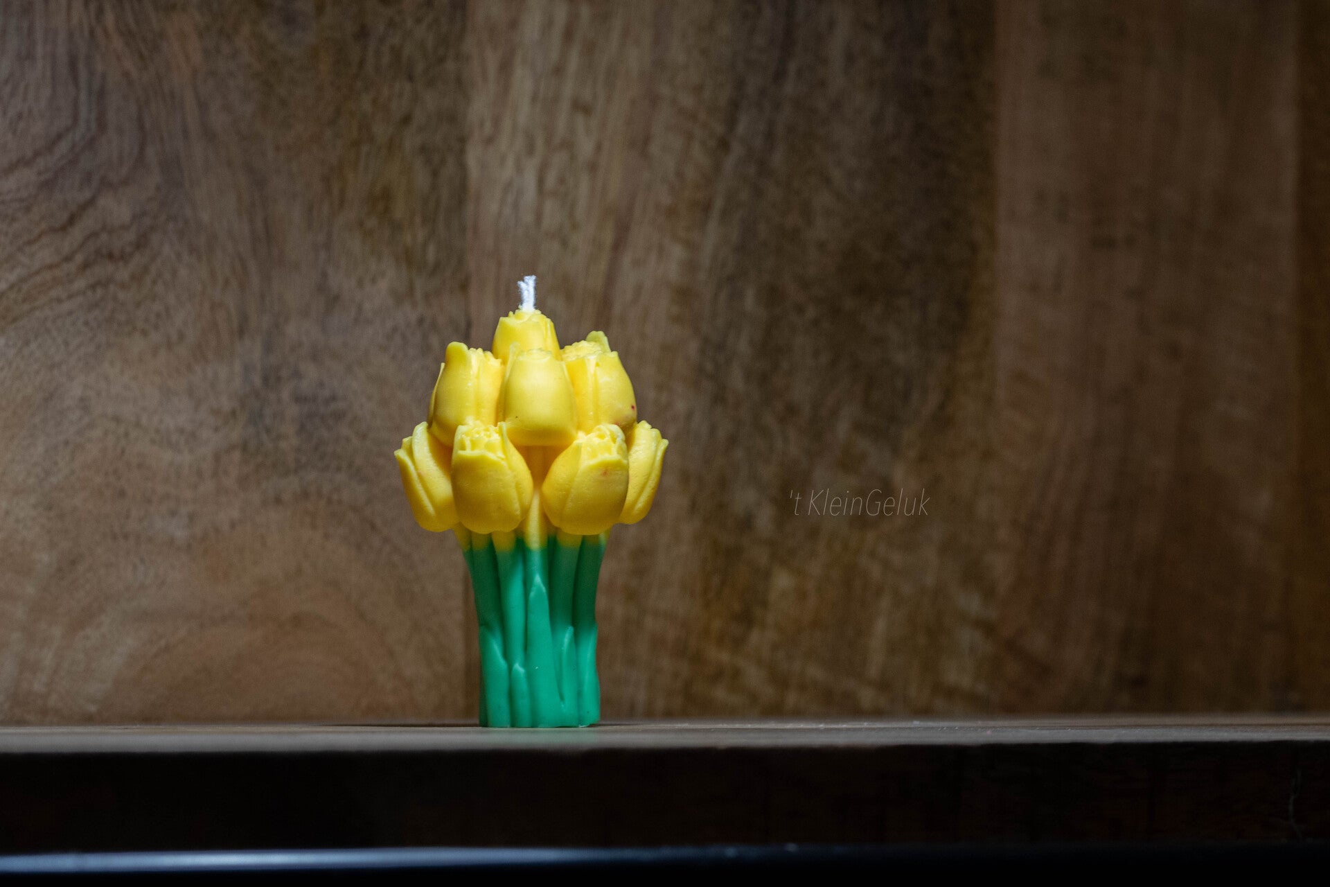 Tulpen