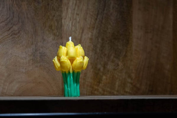 Tulpen