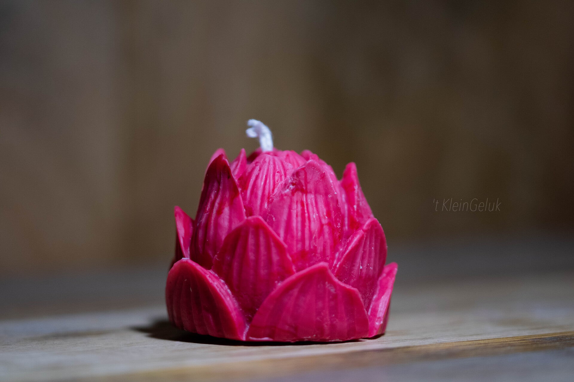 Grote bloem
