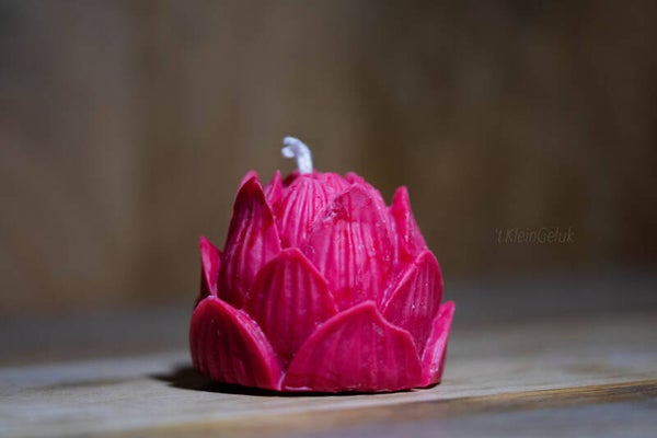 Grote bloem