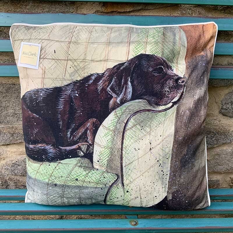 Alex Clark Buddy Cushion