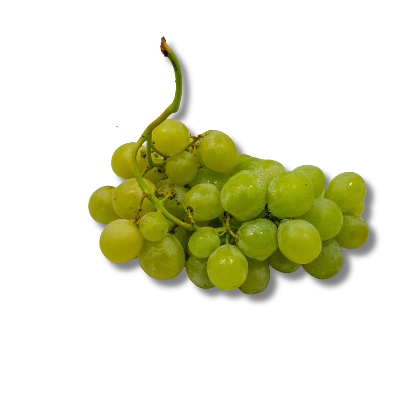 Druiven Met Pit Wit