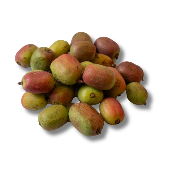 Kiwi bes
