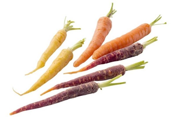 Mini peen rainbow mix