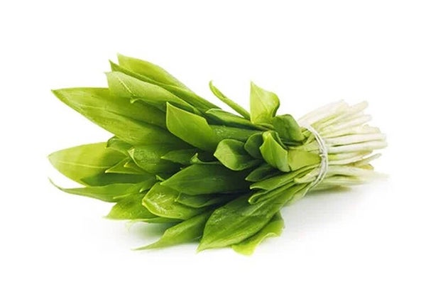 Daslook/knoflookkruid