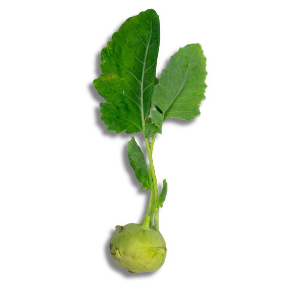 Koolrabi