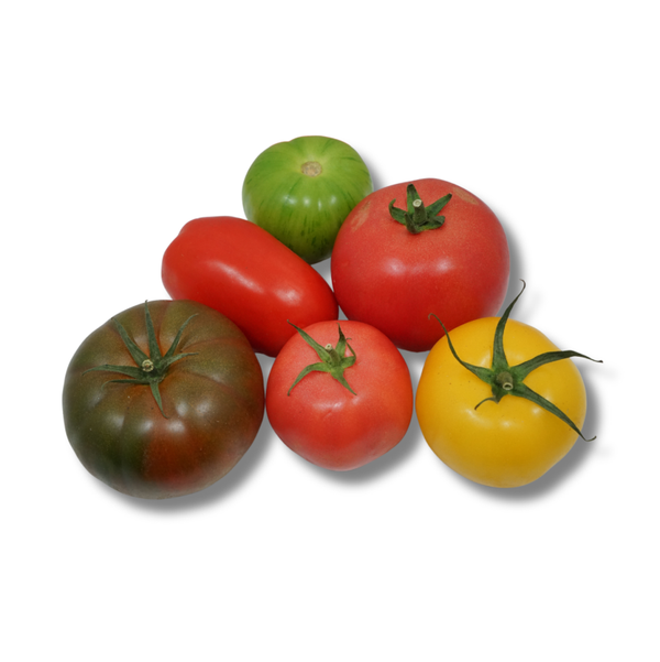 Mix Tomaten