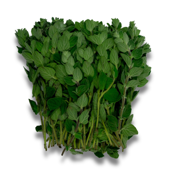 Oregano