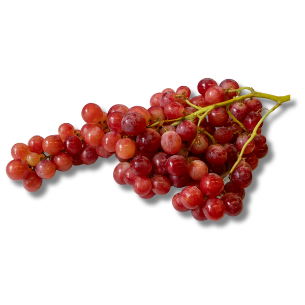 Druiven Pitloos Rood