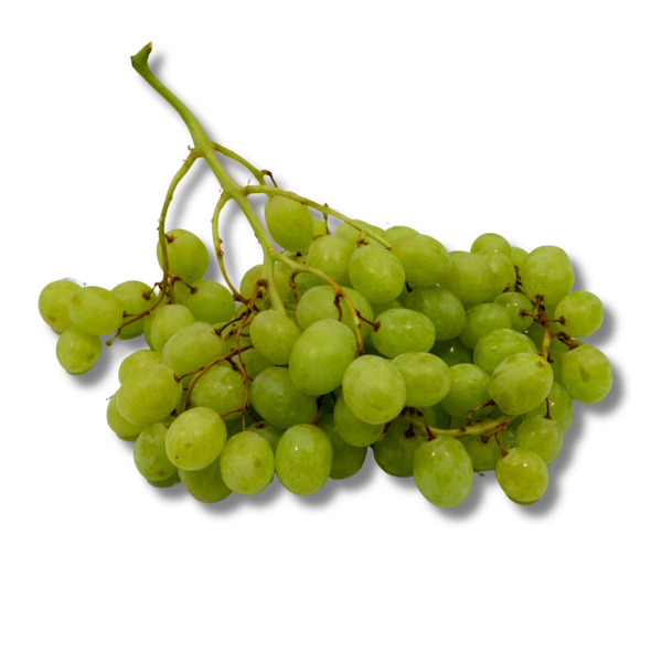 Druiven Pitloos Wit