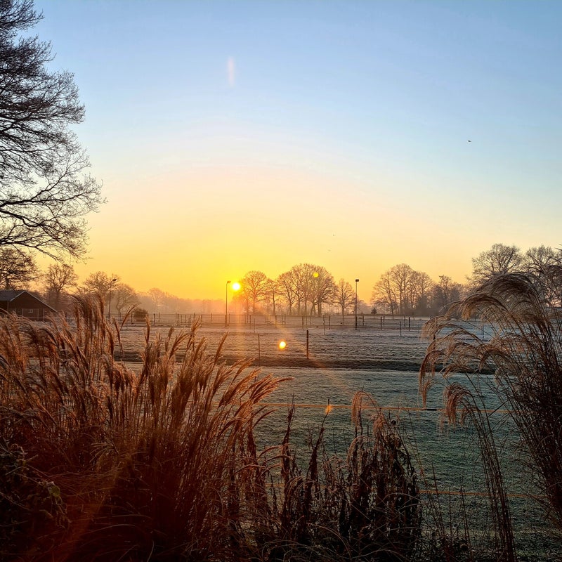 11-12-2021 winter in de wei