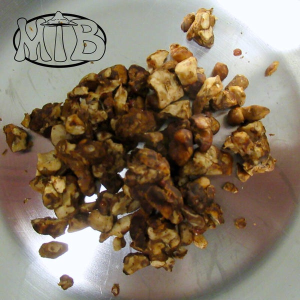 Psilocybe Amazonia Truffels