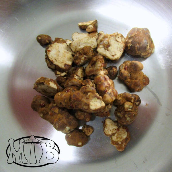 Psilocybe Double Vision Truffels