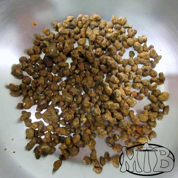 Psilocybe Jalisco Truffels