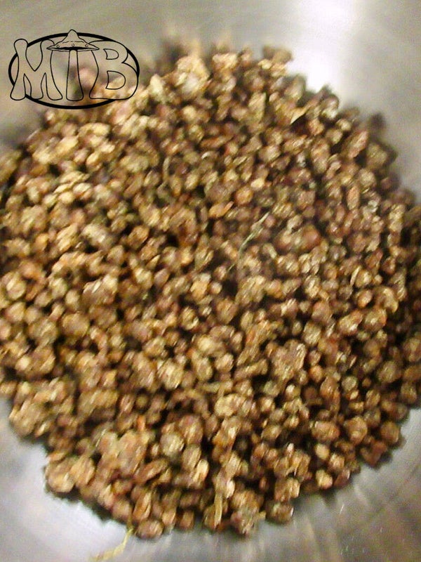 Microdosing - Psilocybe Mexicana - 20 gram