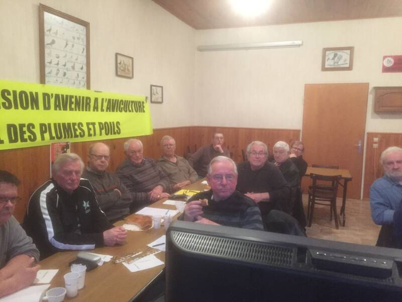 lapins club moselle réunion