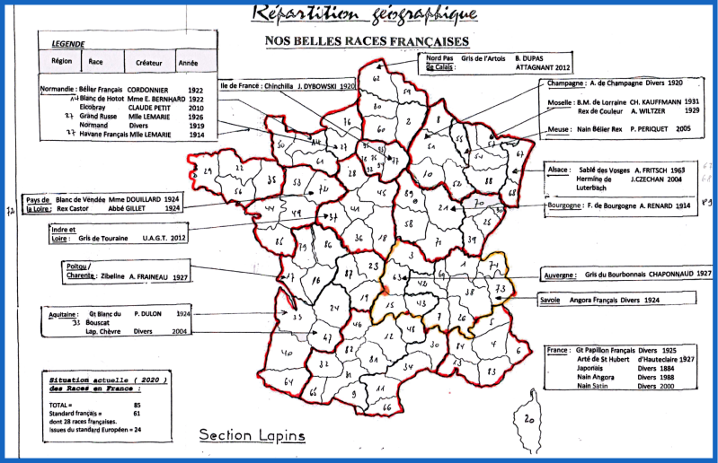 Races de lapins France lapins club Moselle