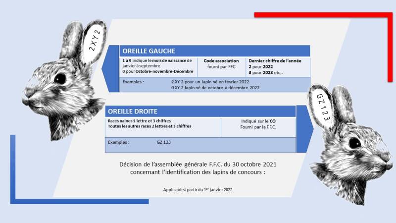 tatouage officiel indentification lapins de races