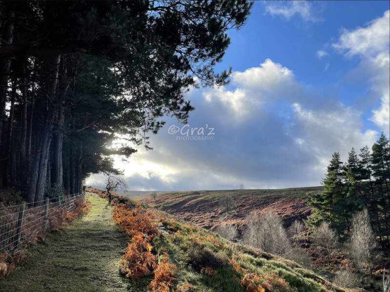 Langsett, Peak District