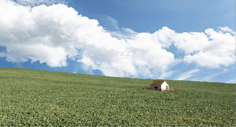 Lone White House in The Cotswolds