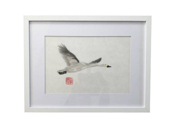 Vlucht van de kleine zwaan