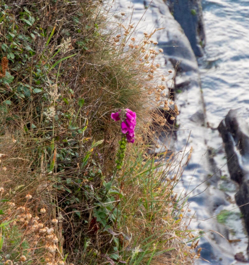 Nutrition coach Beatrice Monti on a cliff in Wales, representing the positive connection between a healthy diet, good nutrition, and mental happiness.