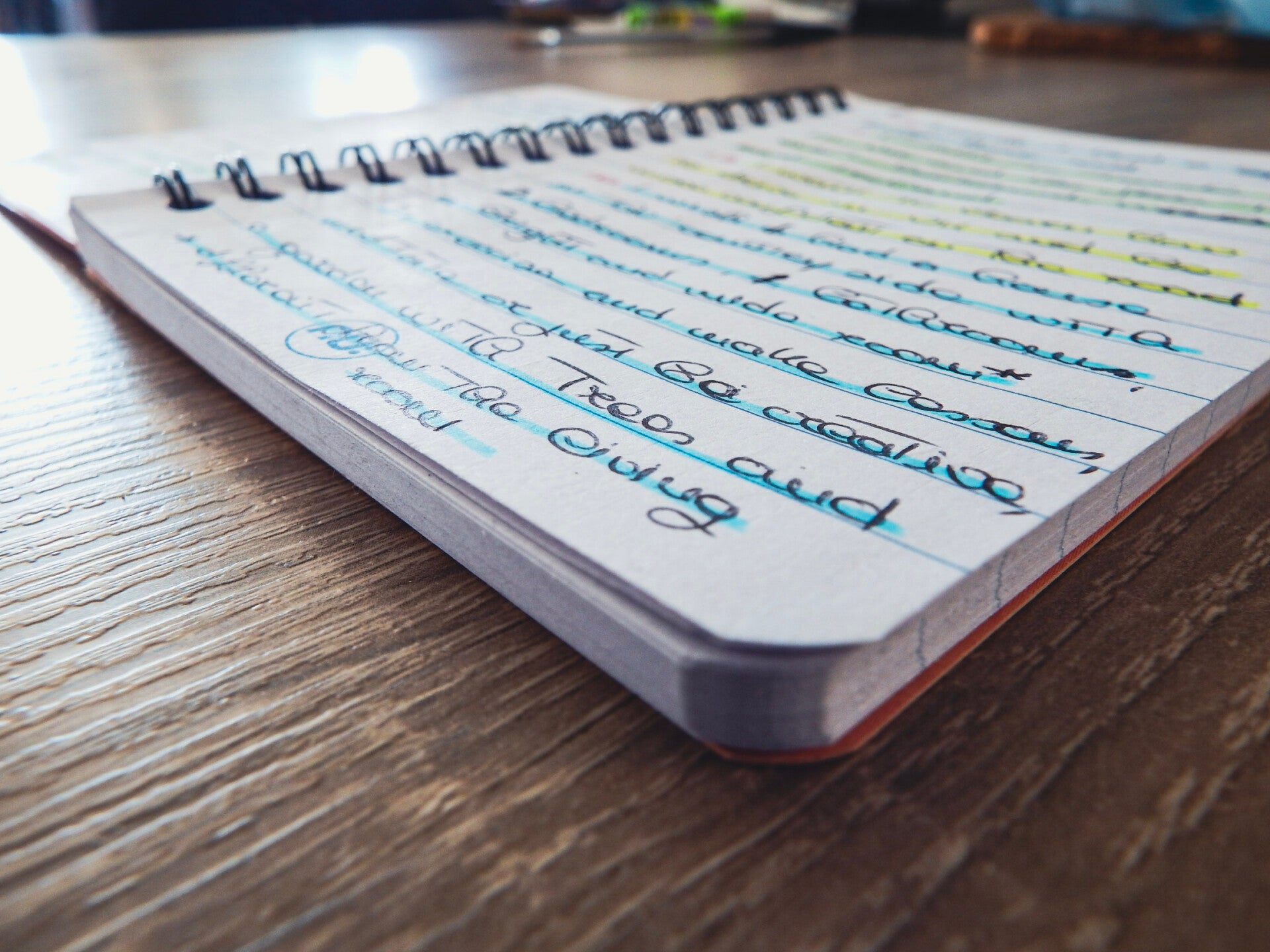 Beatrice Monti, Nutrition and Life Coach, notebook with goals