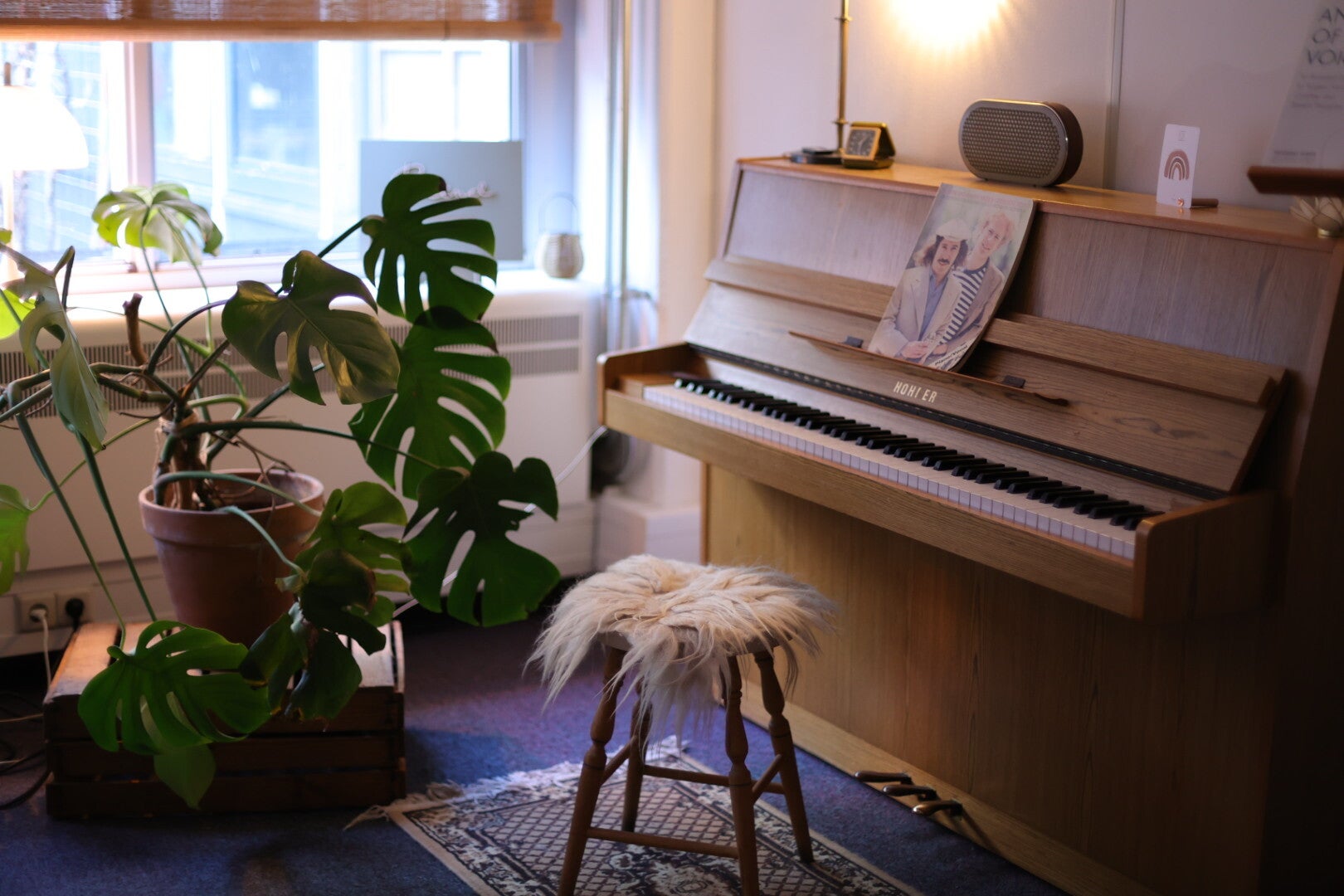 Zangles in Utrecht - holistische zangles - holistisch - zangcoaching - zangles op maat - zangles Utrecht Overvecht - zangschool - zangles nemen - stembevrijding - zangles voor alle niveau's in Utrecht - zangles tegen plankenkoorts - open keelchakra