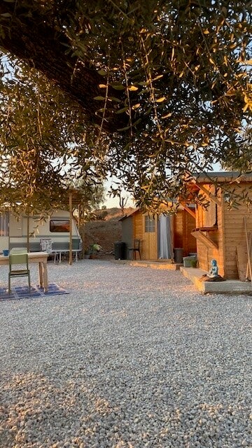 e1d526f5-be12-4272-b5a6-51c9af756bc6_4_5005_c-standard-manpwe.jpg
