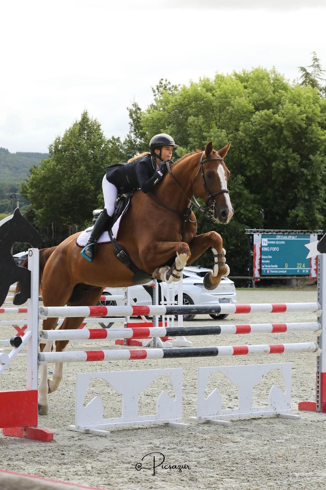 King Fofo est un hongre Selle Français de 6 ans par Ekano DKS et Narusha par Le Tôt de Semilly, combinant force, respect et excellente génétique. Doté d’un bon équilibre et d’un tempérament appliqué, il s’annonce comme un cheval d’avenir pour le sport.