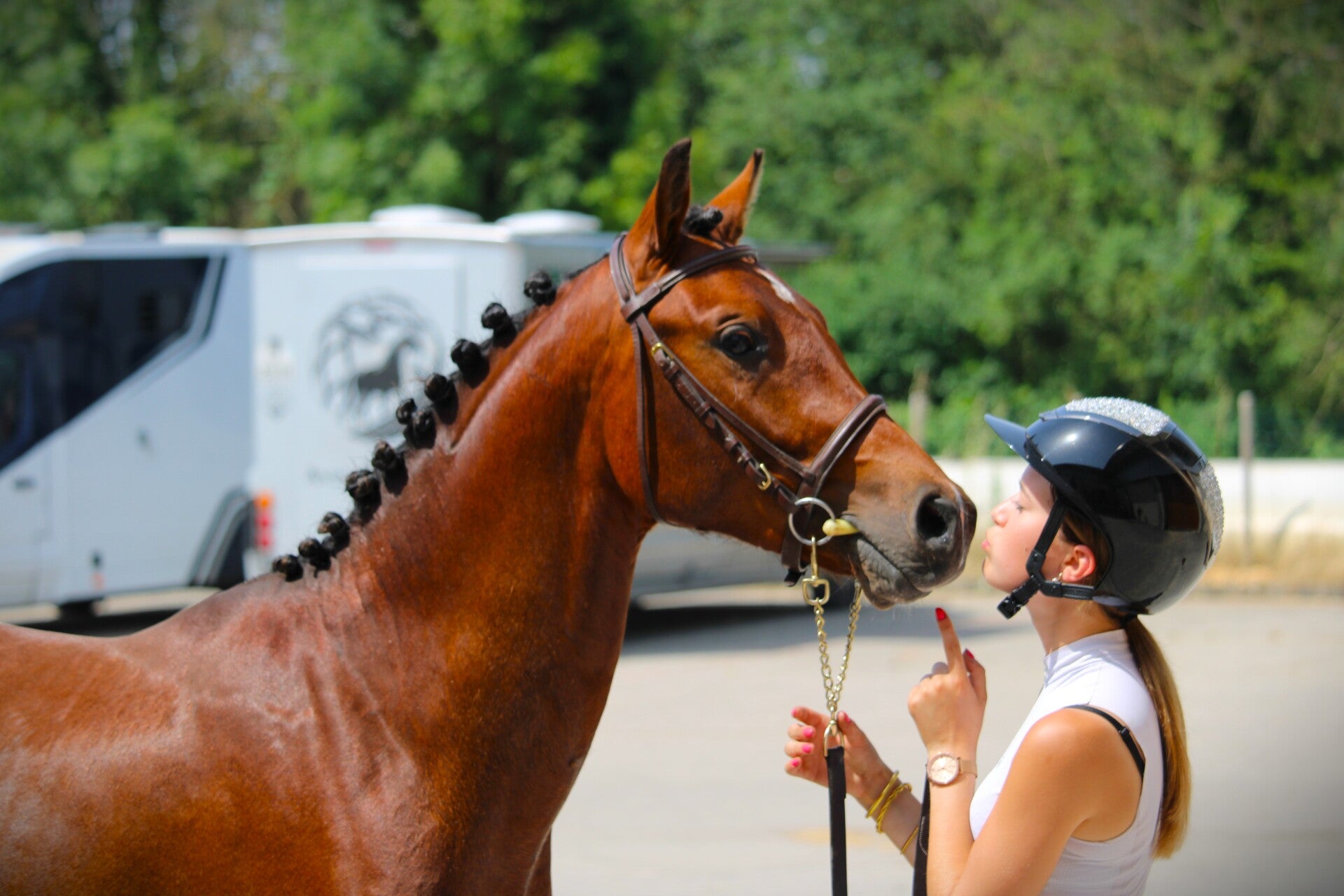 Mojito de Seg est un poney Selle Français de 4 ans par Usandro Tilia Derlenn et Alaska des Chesnaies par Paddock du Plessis : C'est un vrai poney d'enfant idéal pour créer une belle complicité et progresser. Il est doté de bons moyens, d'un tempérament ad