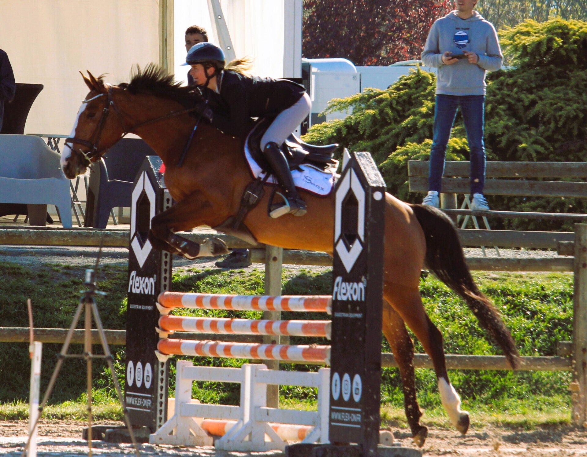 Merouchka est une jument Selle Française de 4 ans par Inshallah de Muze et Verouchka par Lamm de Fétan, présentant de belles qualités à l’obstacle tant au niveau du respect que des moyens. 