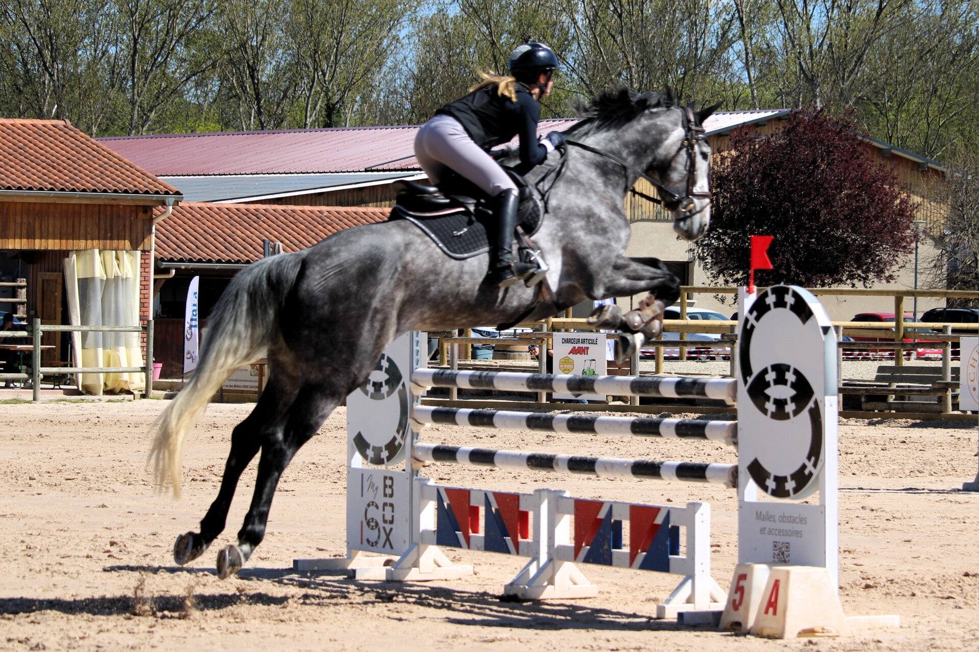KissMe de la Claye est une jument Selle Française de 6 ans par Mylord Carthago et Anjou de la Claye par Diamant de Semilly, alliant qualité de saut, respect et excellente souche maternelle. Elle progresse rapidement, et évolue à chaque parcours. 