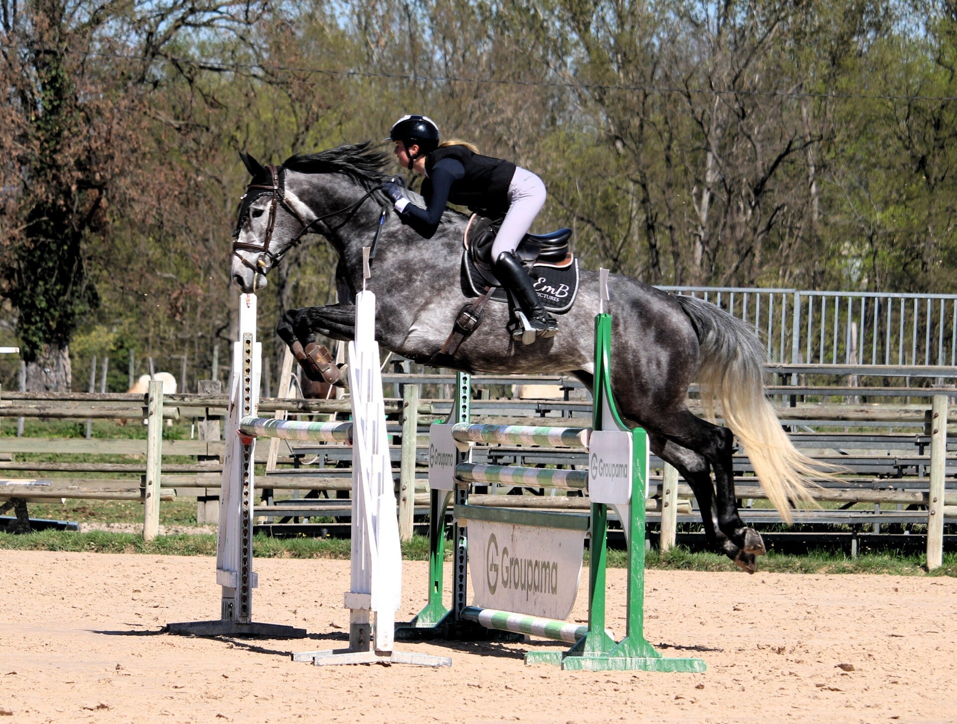 KissMe de la Claye est une jument Selle Française de 6 ans par Mylord Carthago et Anjou de la Claye par Diamant de Semilly, alliant qualité de saut, respect et excellente souche maternelle. Elle progresse rapidement, et évolue à chaque parcours. 