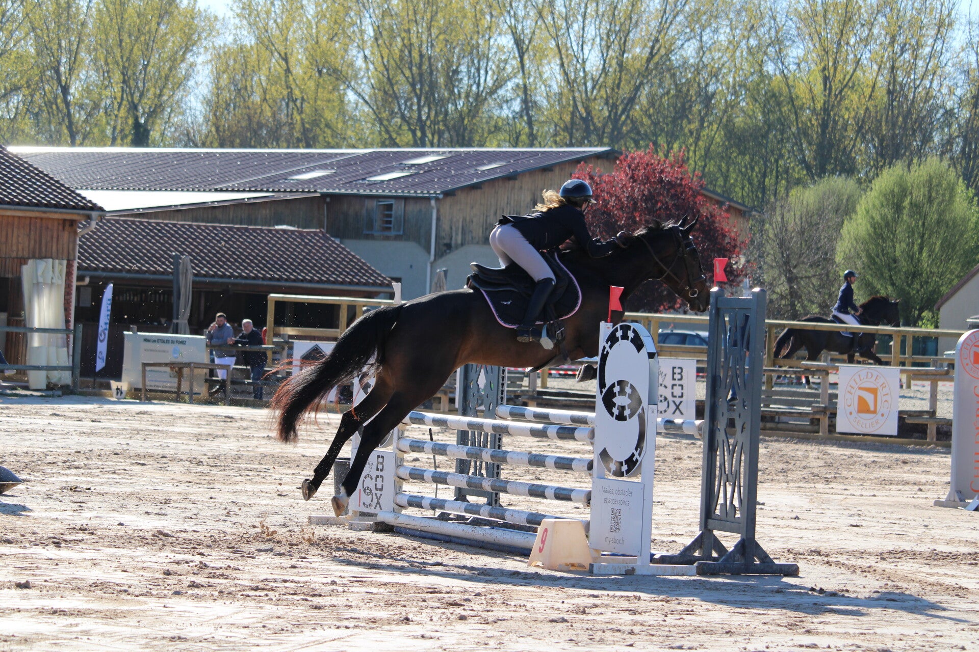 Maya de Reux est une jument Selle Française de 4 ans par Conthargos et Toscane de Kerrarouan par Calvaro, avec du sang et de belles qualités pour le sport. Petite jument très attachante, elle est agréable au quotidien et facile à vivre.