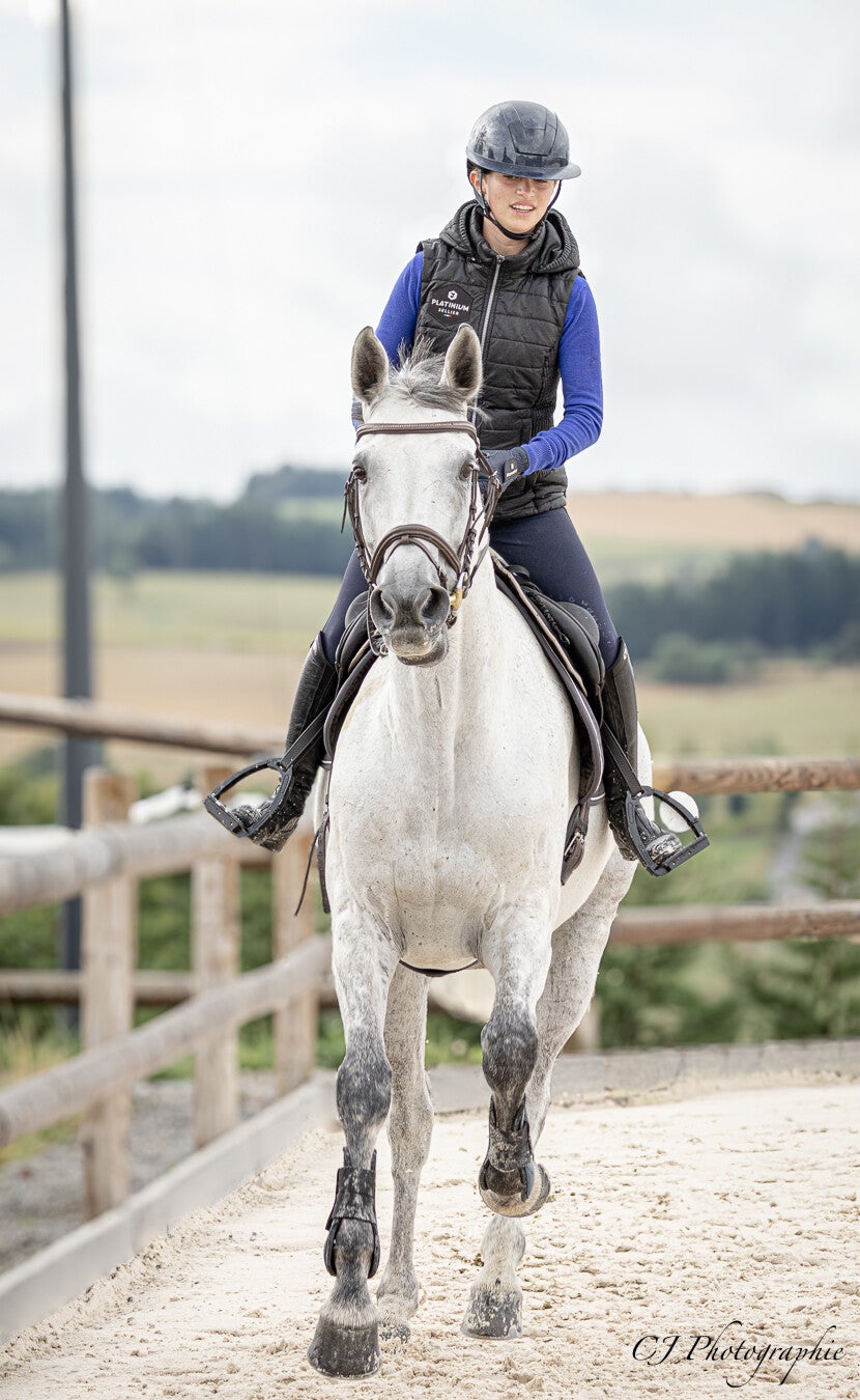Valorisation personnalisée : Un programme de travail adapté aux besoins spécifiques de chaque cheval.