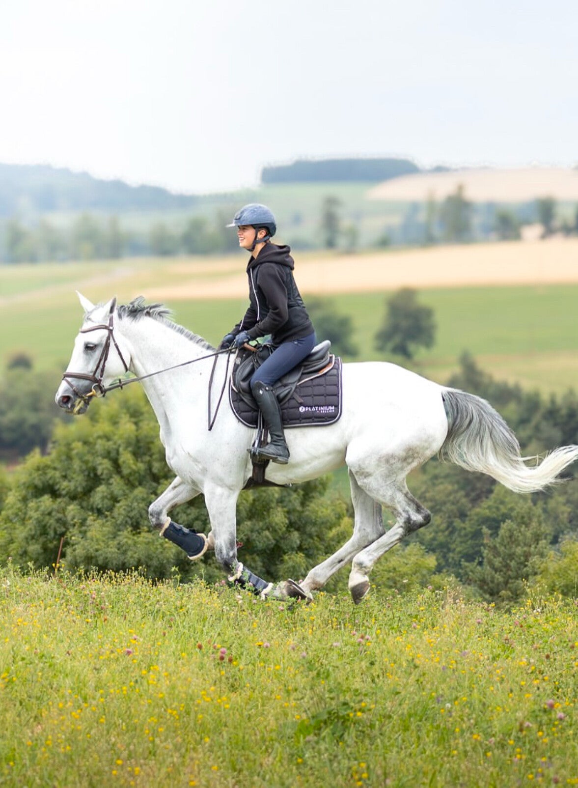 Une philosophie axée sur le bien-être : Nous privilégions le bien-être moral et physique des chevaux, de la naissance à la vente. Notre approche familiale garantit 2 à 3 sorties par jour et de nombreuses balades pour leur épanouissement.