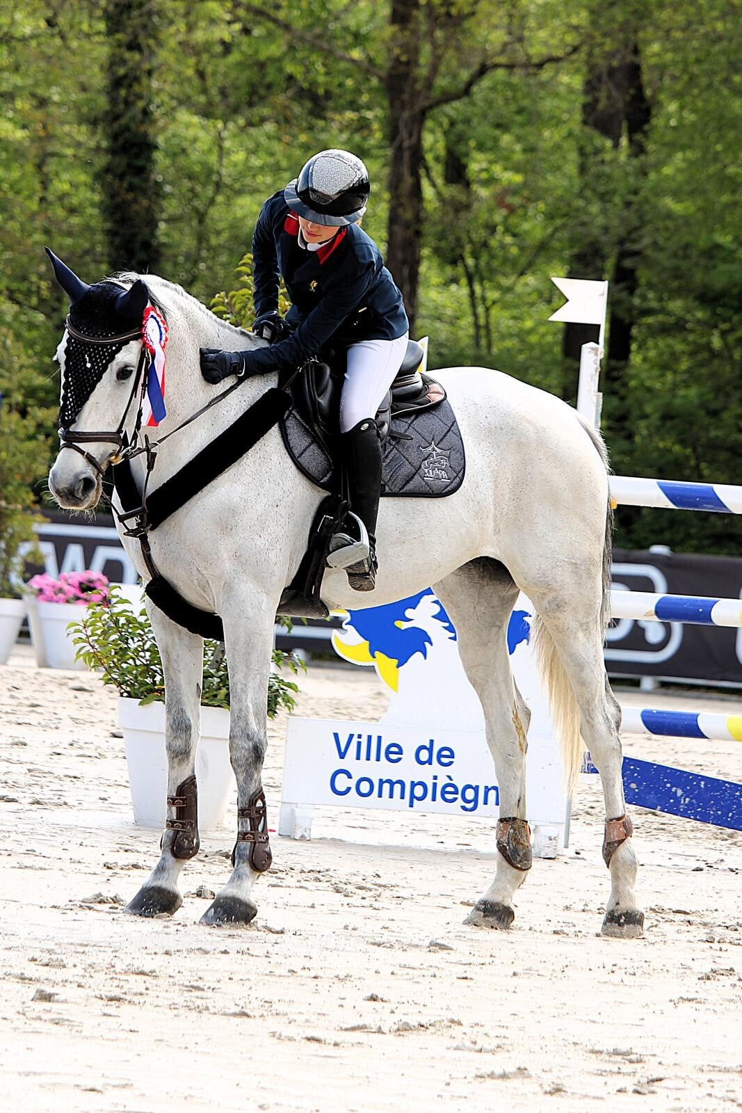 Fisalys de Lyr est une jument Selle Française de 11 ans par Roméo de Villaret et Unibelle de Lyr par Crown Z : C'est une jument très compétitive et dans le sang avec un grand respect de la barre. Elle est notre jument de cœur, ultra joyeuse et solaire.