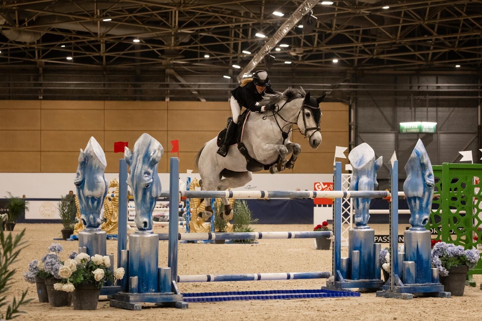 Fisalys de Lyr est une jument Selle Française de 11 ans par Roméo de Villaret et Unibelle de Lyr par Crown Z : C'est une jument très compétitive et dans le sang avec un grand respect de la barre. Elle est notre jument de cœur, ultra joyeuse et solaire.
