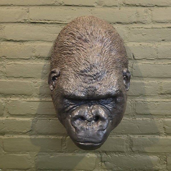 Afgietsel Gorilla Kop